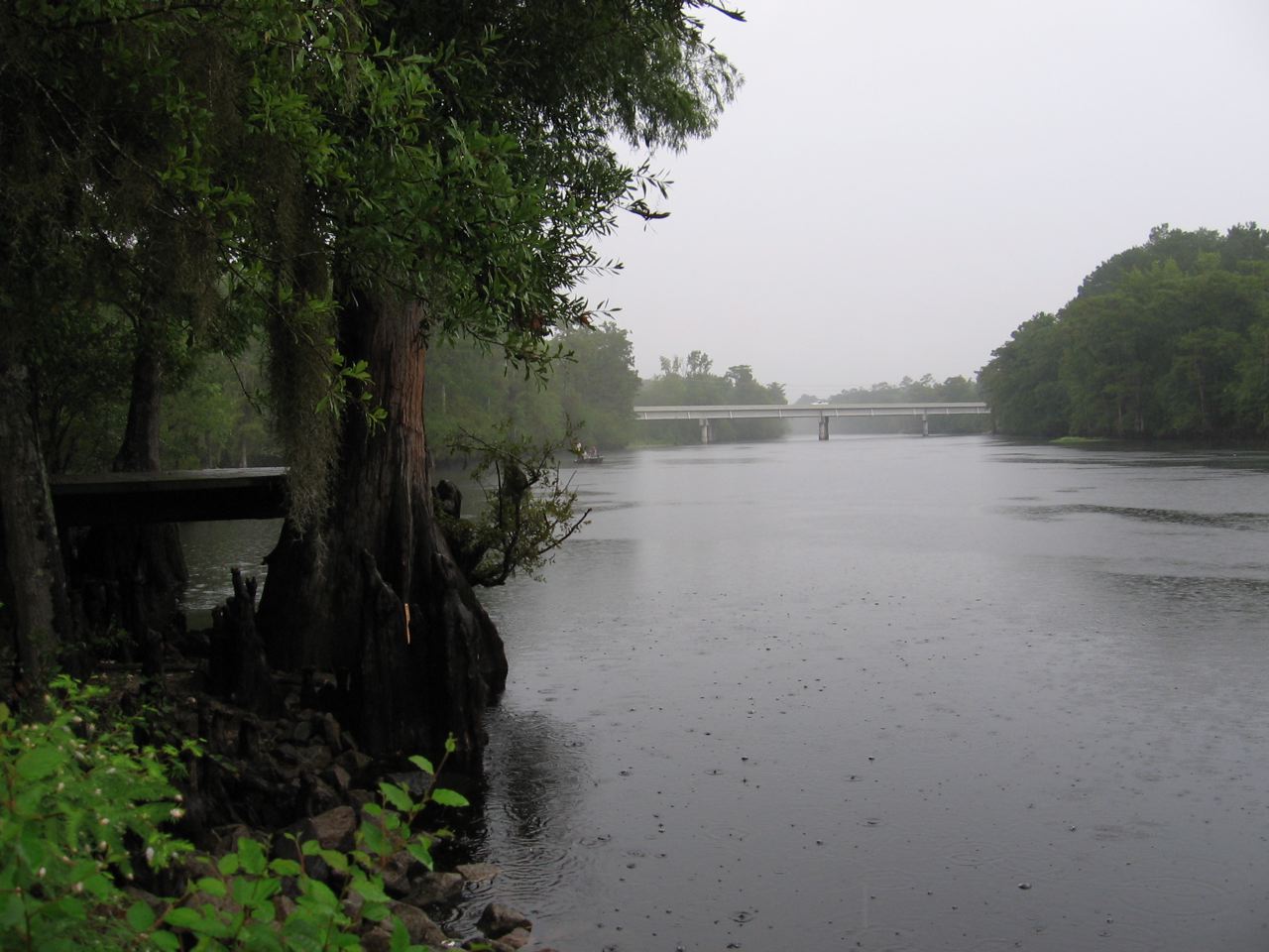 ocala
