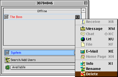 ICQ Window