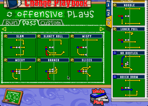 backyard football pc