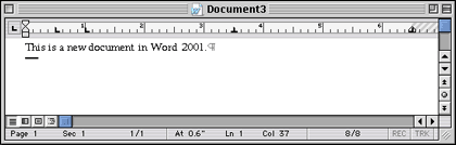 o-06-word-document-window